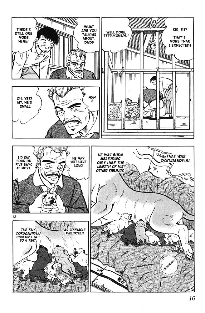 Byakuren No Fangu Chapter 17 #12