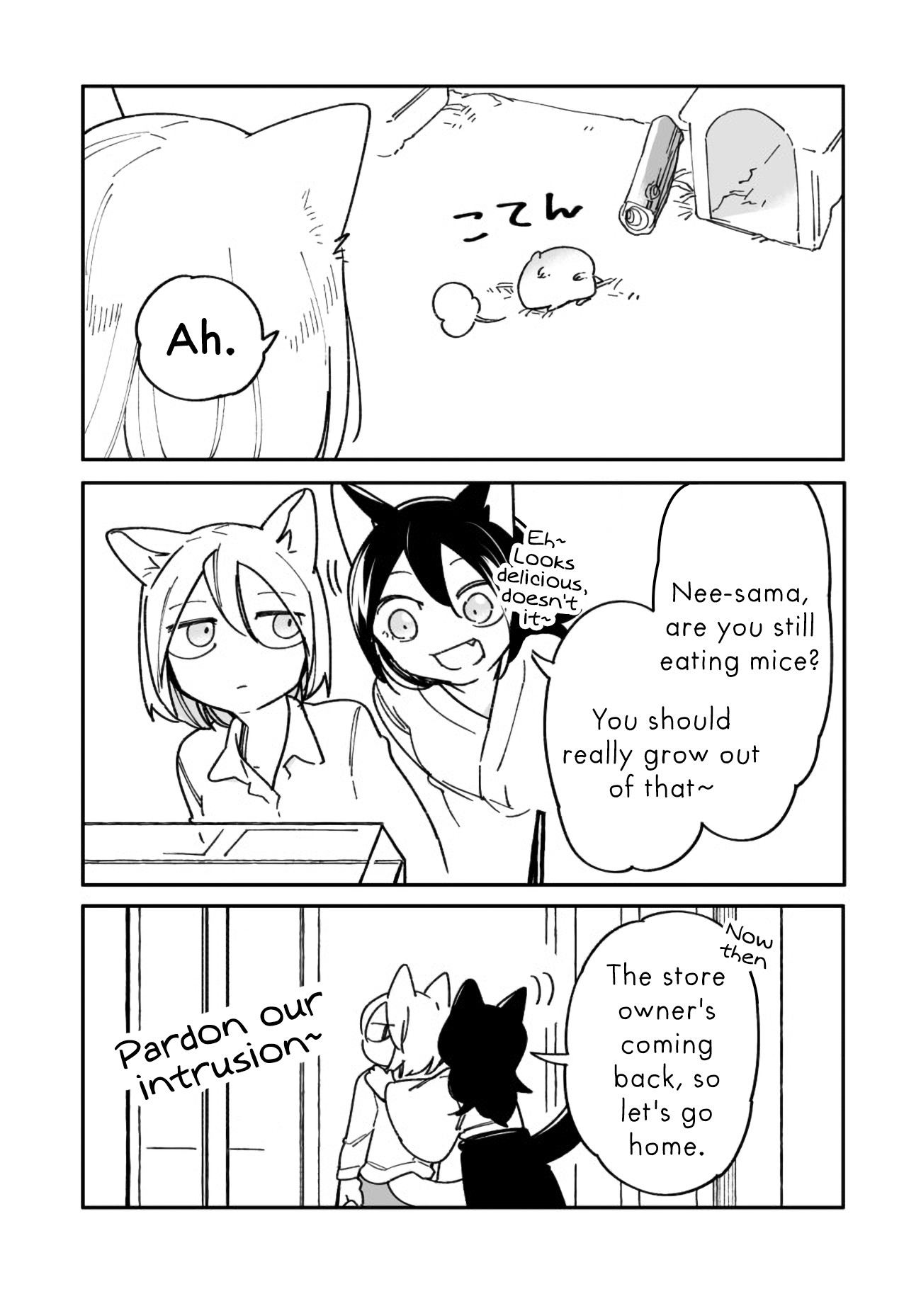 Nora-San The Tsungire Cat Chapter 4.5 #6