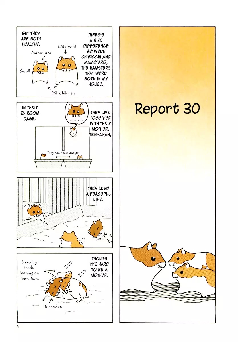 Hamster No Kenkyuu Report Chapter 29 #9