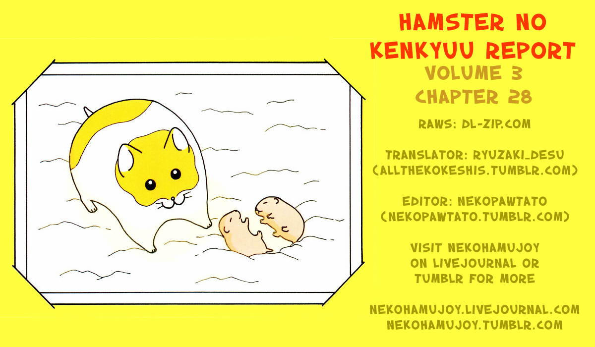 Hamster No Kenkyuu Report Chapter 28 #7