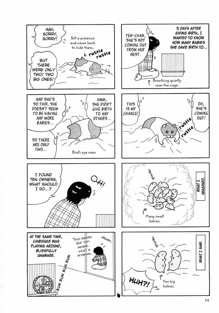 Hamster No Kenkyuu Report Chapter 24 #6