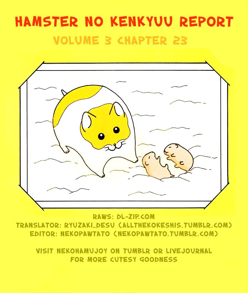 Hamster No Kenkyuu Report Chapter 23 #9