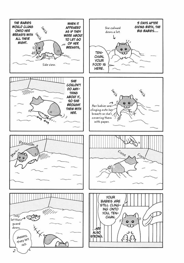 Hamster No Kenkyuu Report Chapter 24 #7