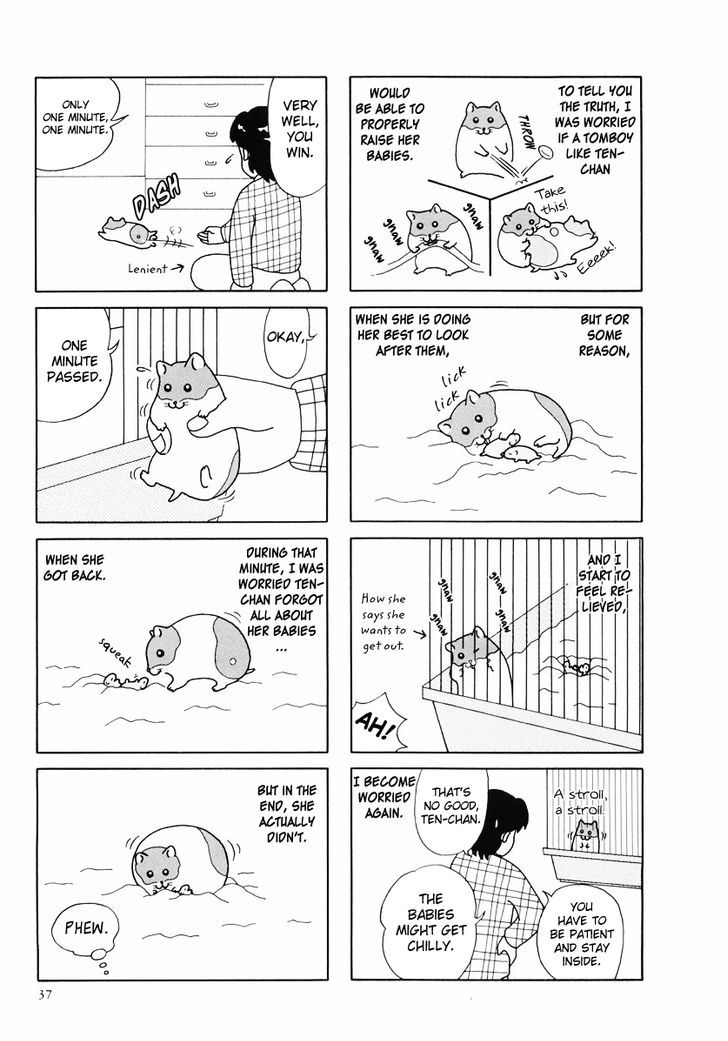Hamster No Kenkyuu Report Chapter 24 #9