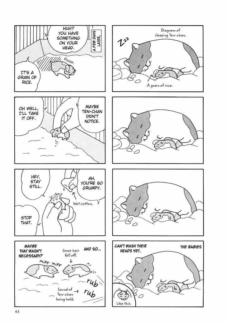 Hamster No Kenkyuu Report Chapter 24 #15