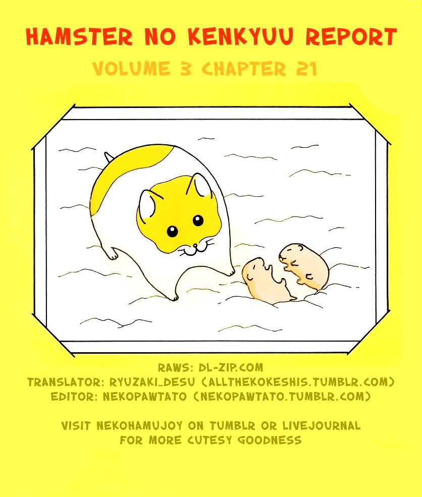 Hamster No Kenkyuu Report Chapter 21 #17