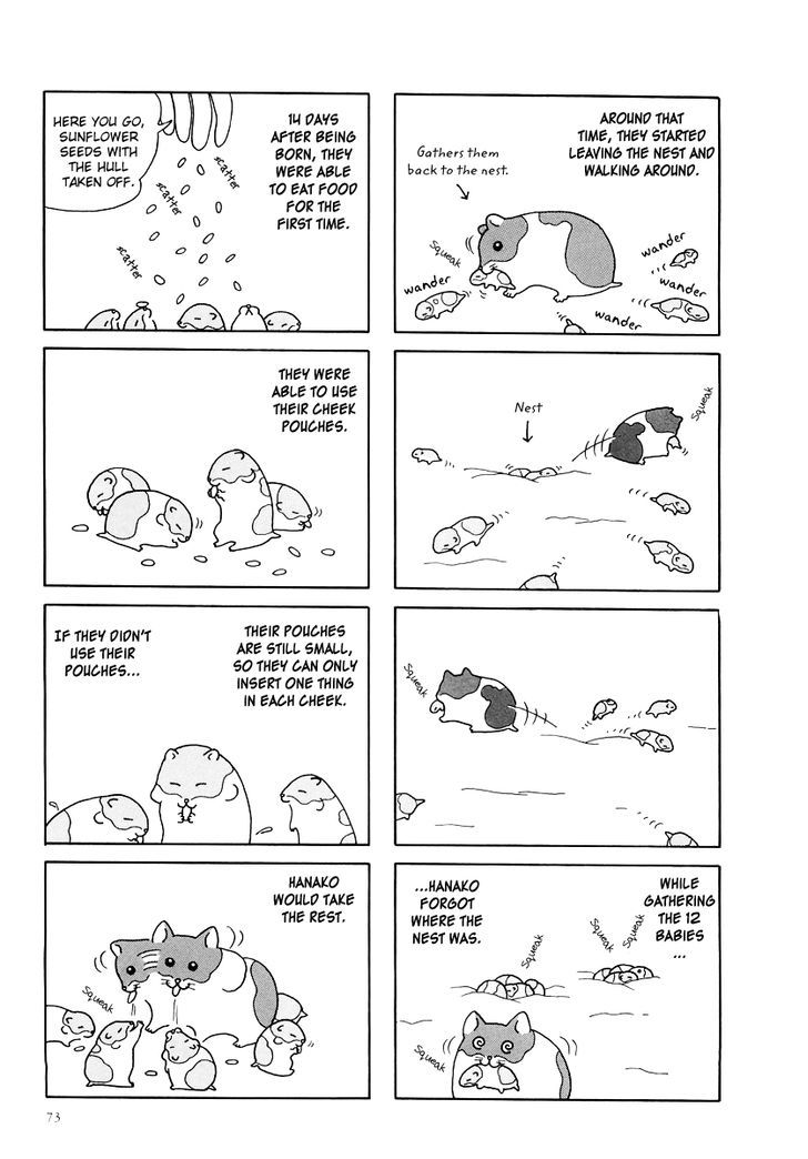 Hamster No Kenkyuu Report Chapter 8 #5