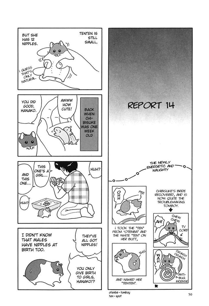 Hamster No Kenkyuu Report Chapter 6 #5