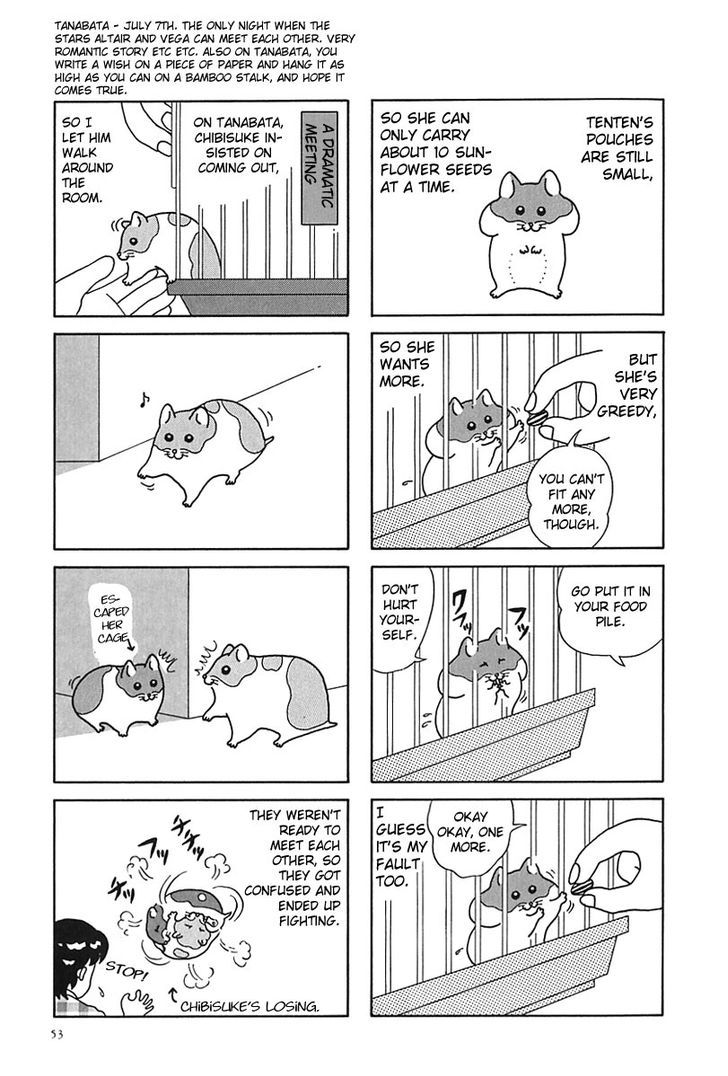 Hamster No Kenkyuu Report Chapter 6 #8