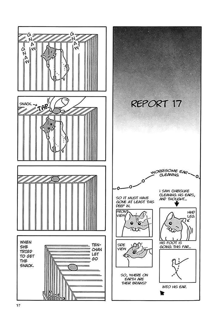 Hamster No Kenkyuu Report Chapter 6 #12