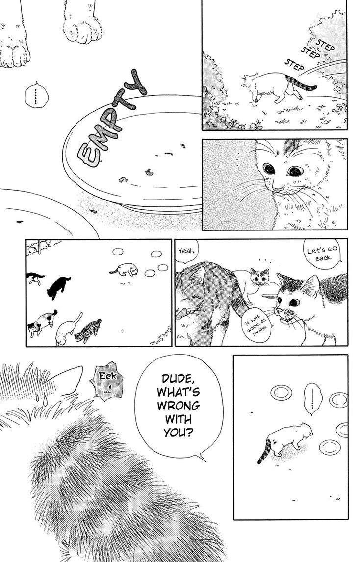 Zoccha No Nichijou Chapter 9 #5