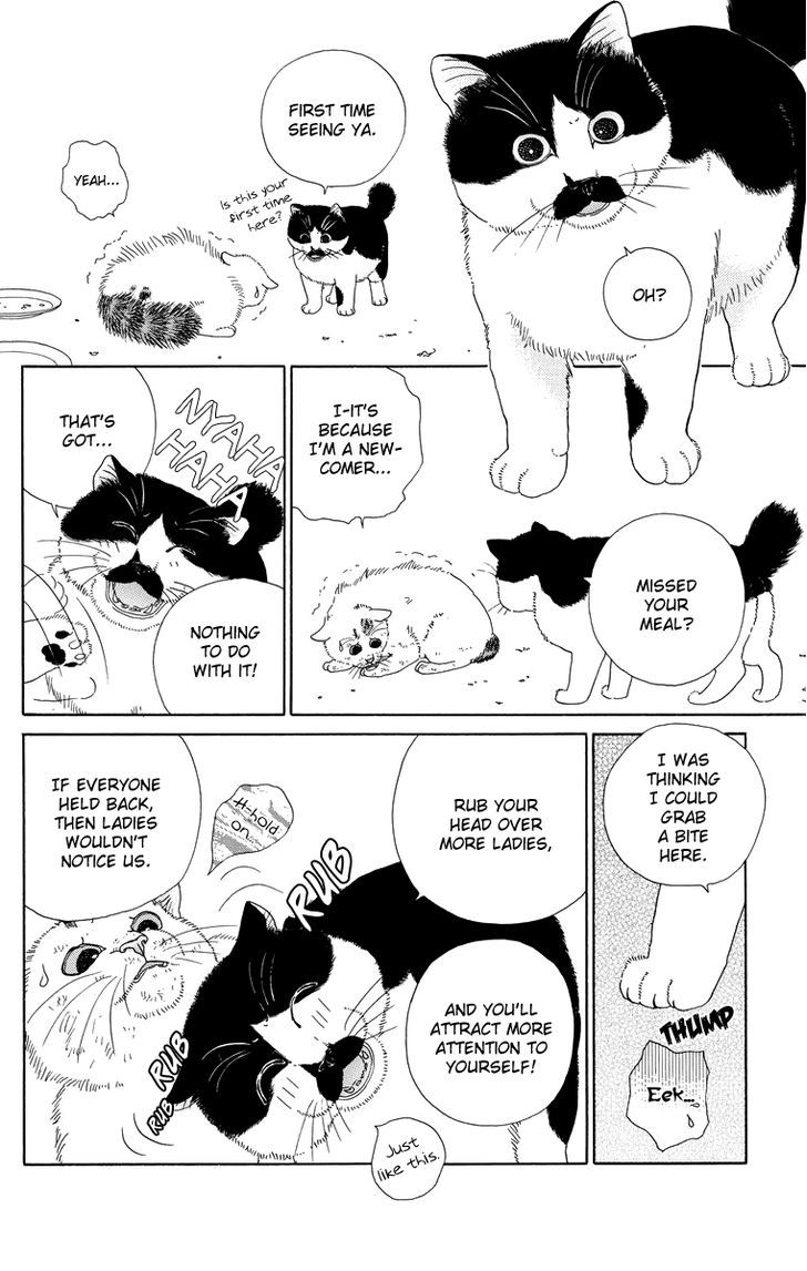 Zoccha No Nichijou Chapter 9 #6