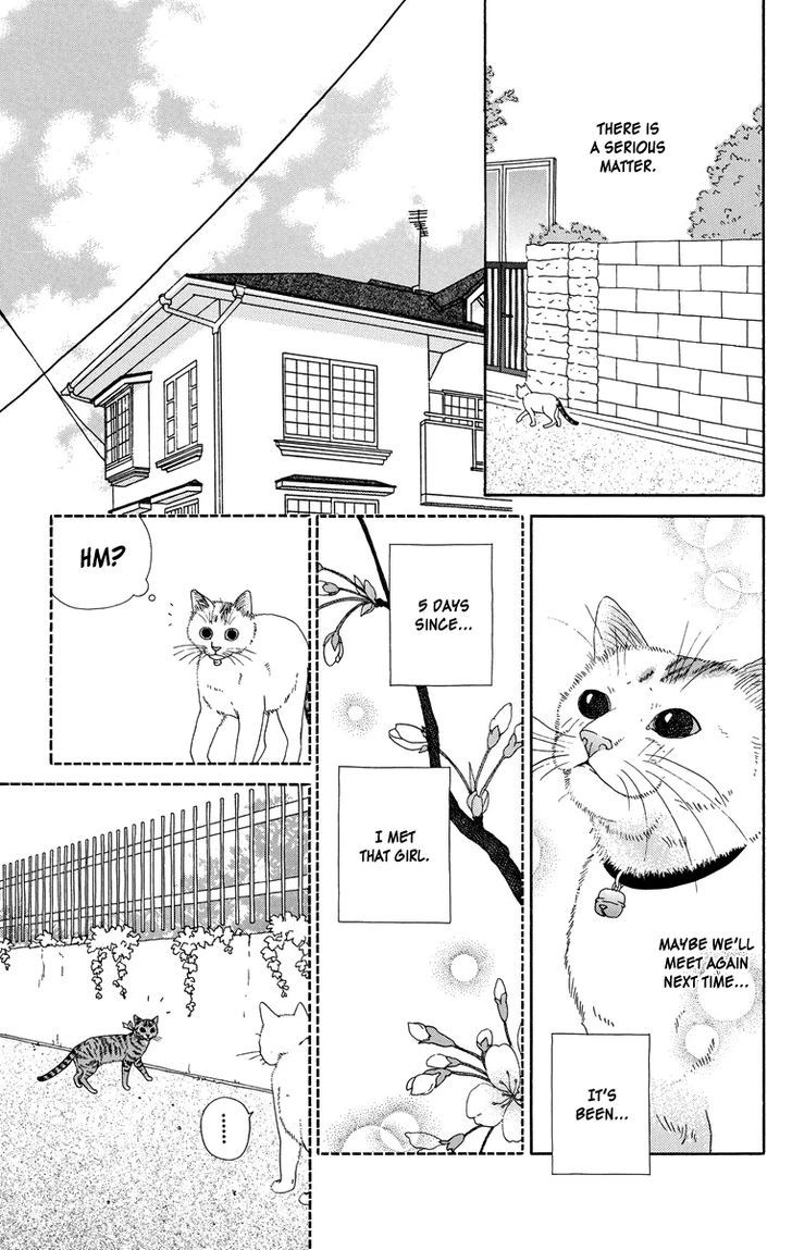 Zoccha No Nichijou Chapter 1 #7