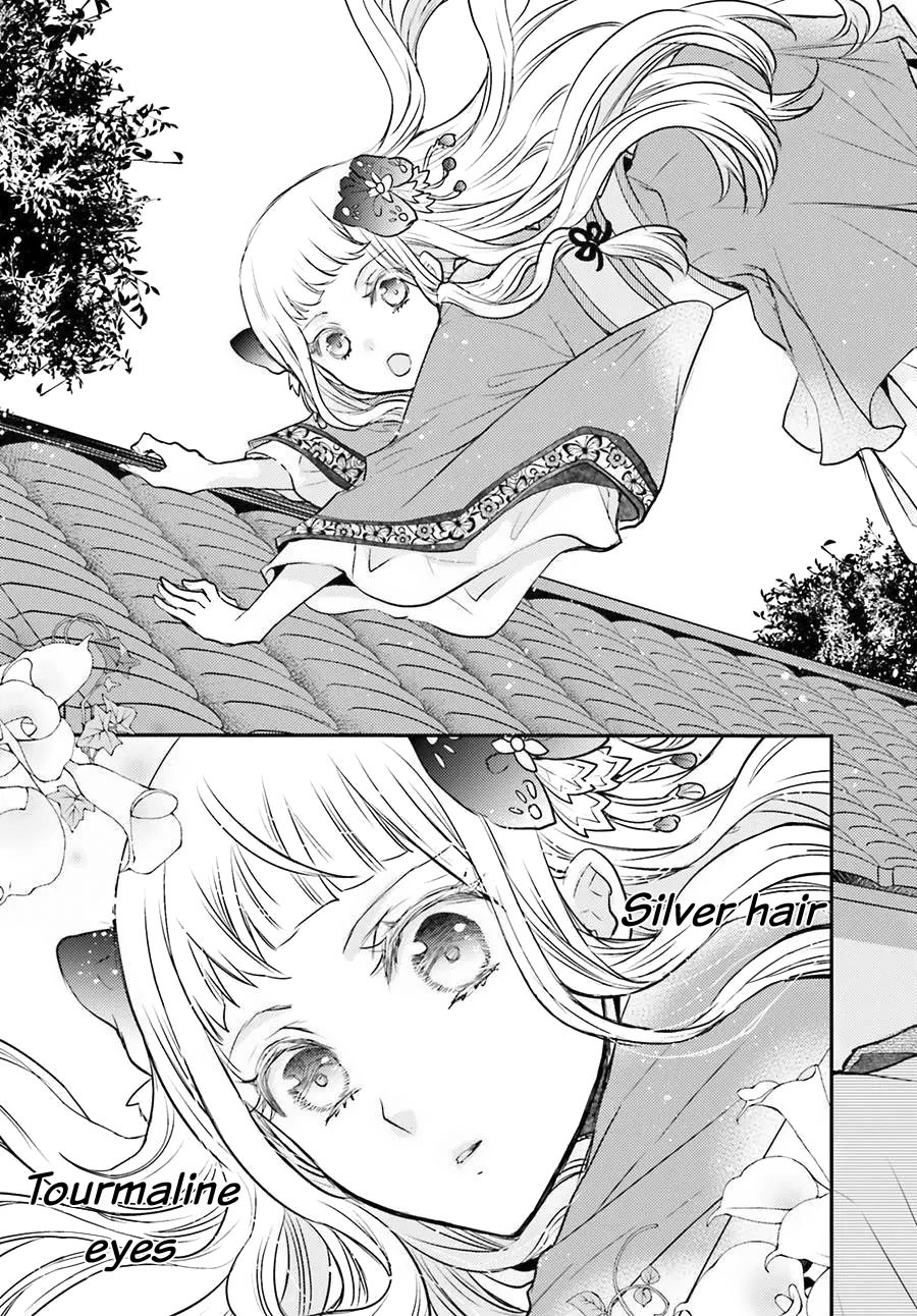 Moon Flower Country's Strange Doctor Chapter 4 #34