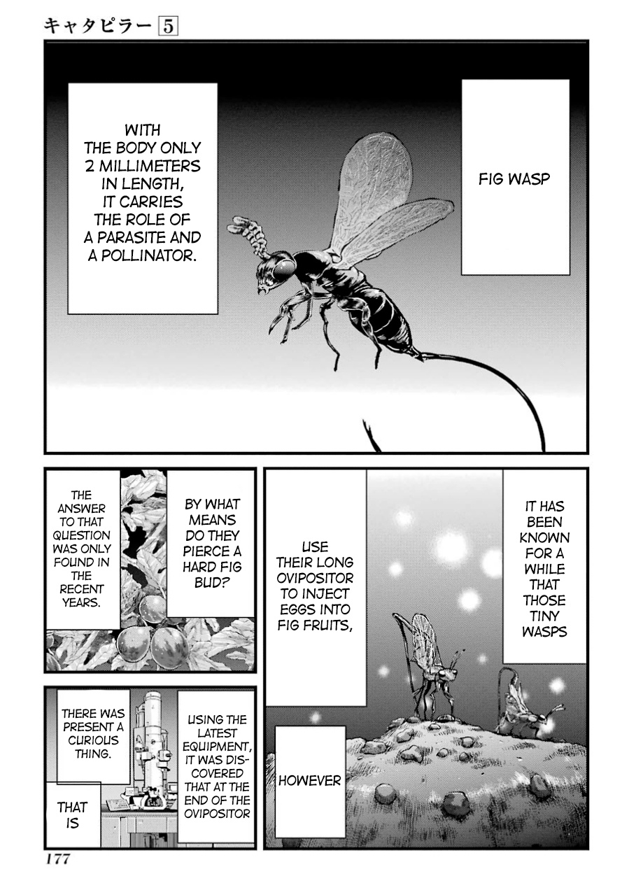 Caterpillar Chapter 41 #2