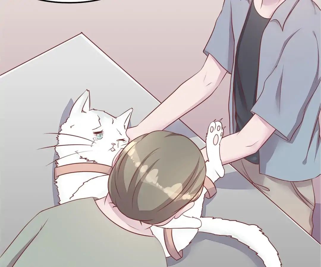 Guide To Raising Kitty Boyfriend Chapter 54 #56