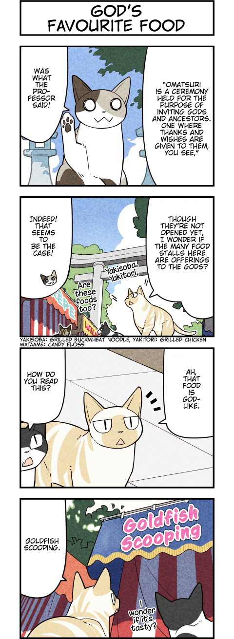 We Are Cats Chapter 68 #2