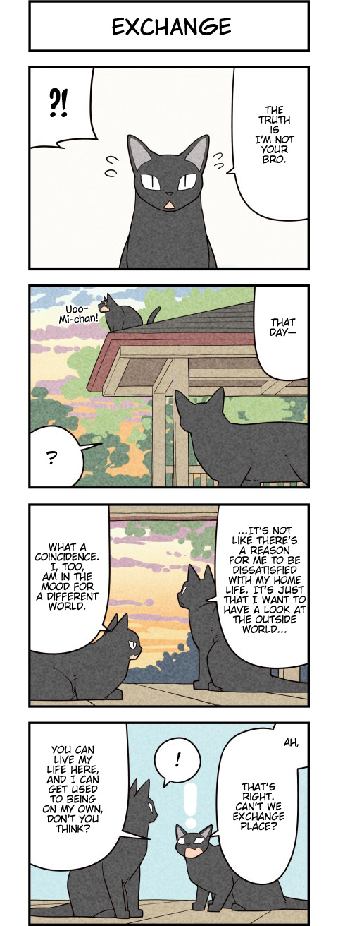 We Are Cats Chapter 57 #2
