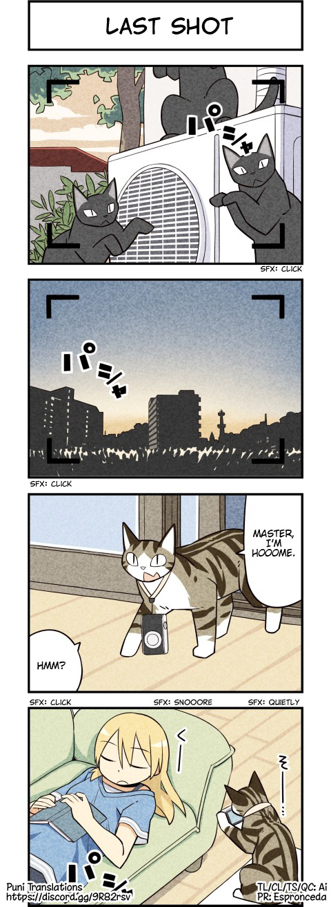 We Are Cats Chapter 32 #4