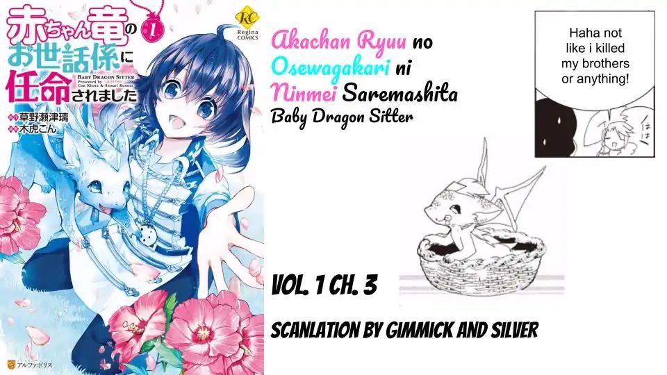 Akachan Ryuu No Osewagakari Ni Ninmei Saremashita Chapter 3 #19