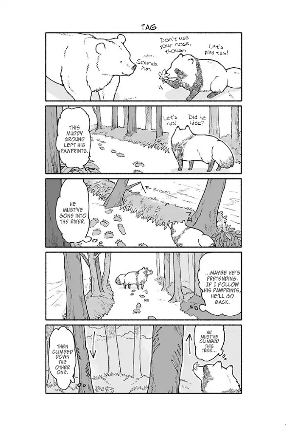 Kuma To Tanuki Chapter 11 #1
