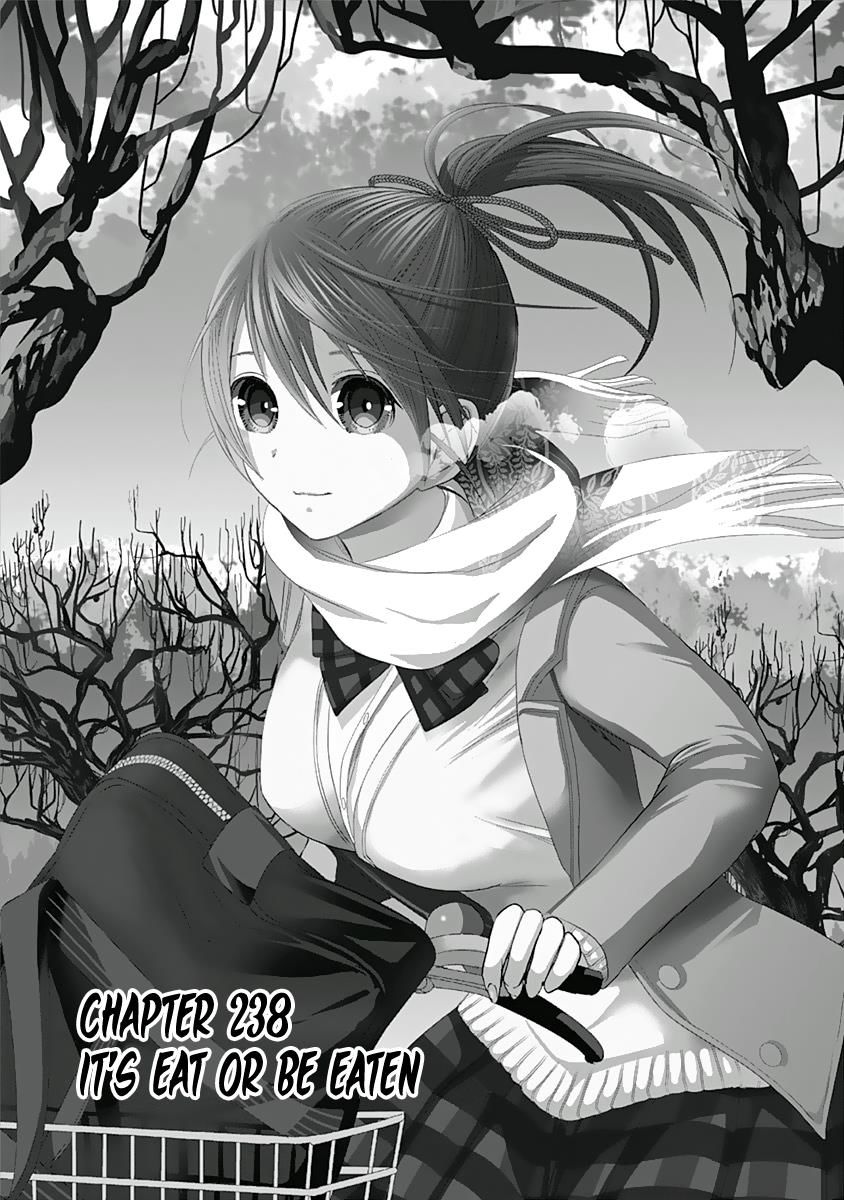 Minamoto-Kun Monogatari Chapter 238 #2