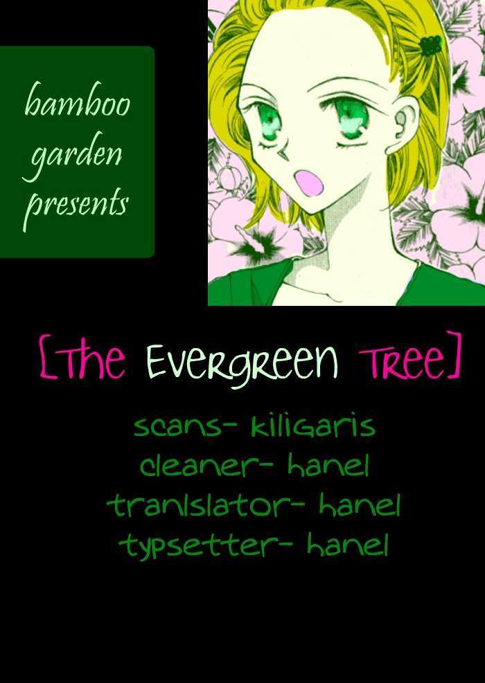 The Evergreen Tree Chapter 0 #1