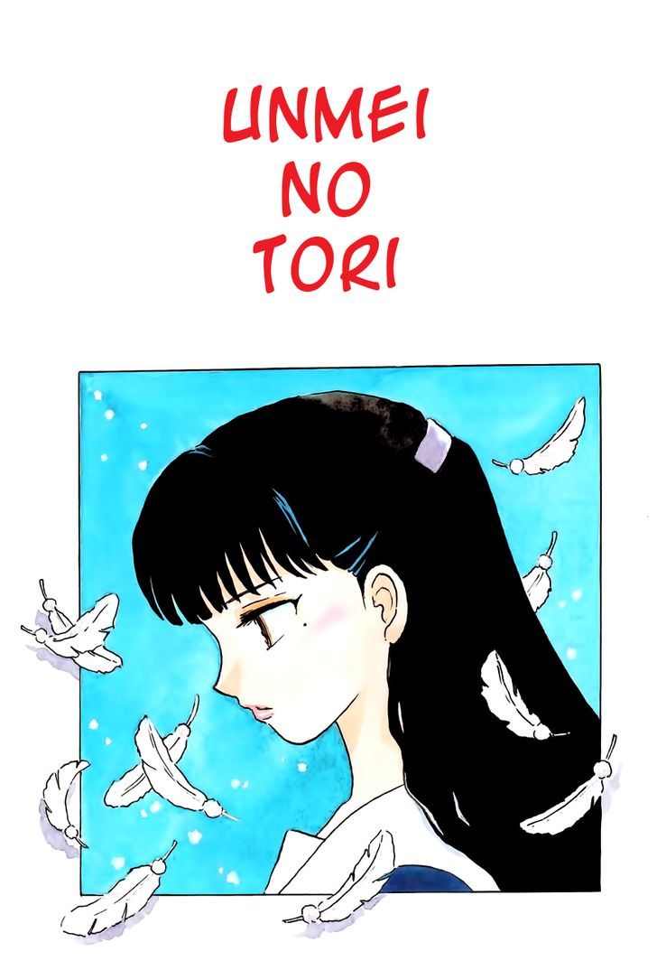 Unmei No Tori Chapter 3 #1