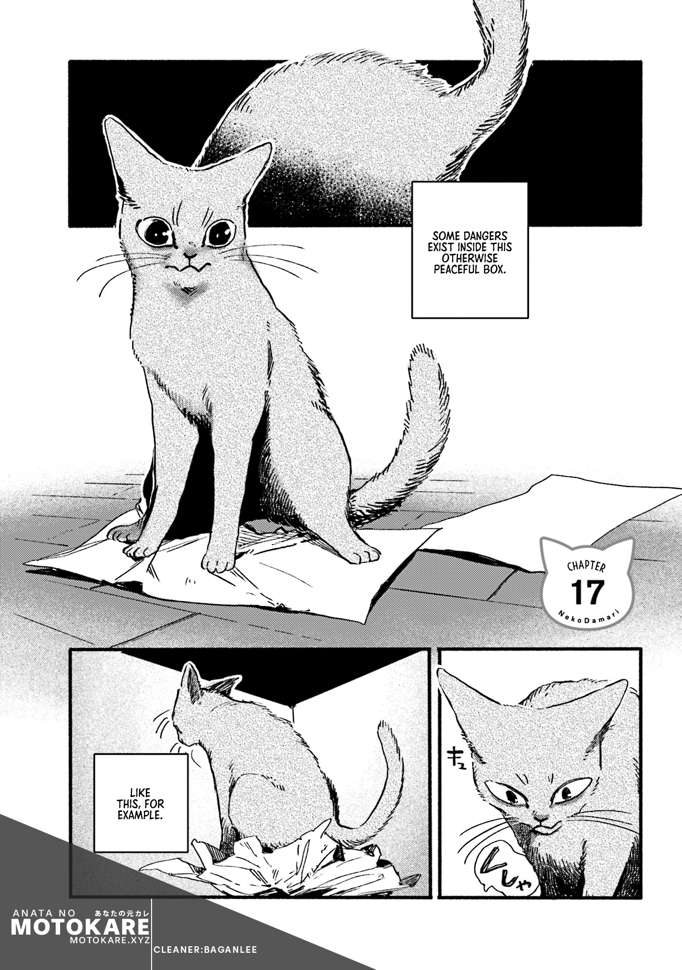 Nekodamari Chapter 17 #1