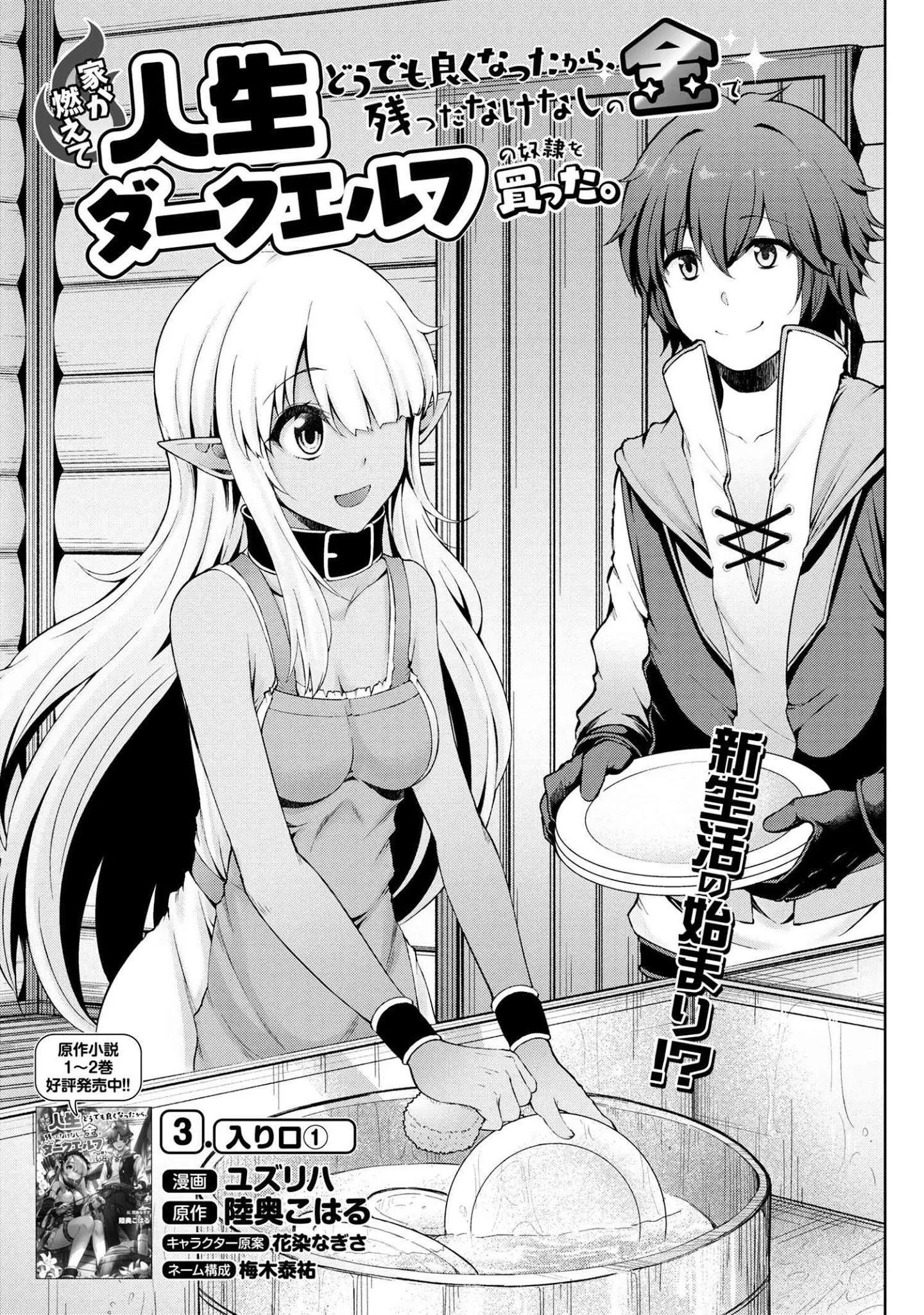 Ie Ga Moete Jinsei Dou Demo Yoku Natta Kara, Nokotta Nakenashi No Kin De Dark Elf No Dorei O Katta Chapter 3.1 #2