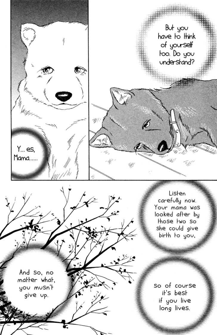 Deep Love - Pao No Monogatari Chapter 1 #22