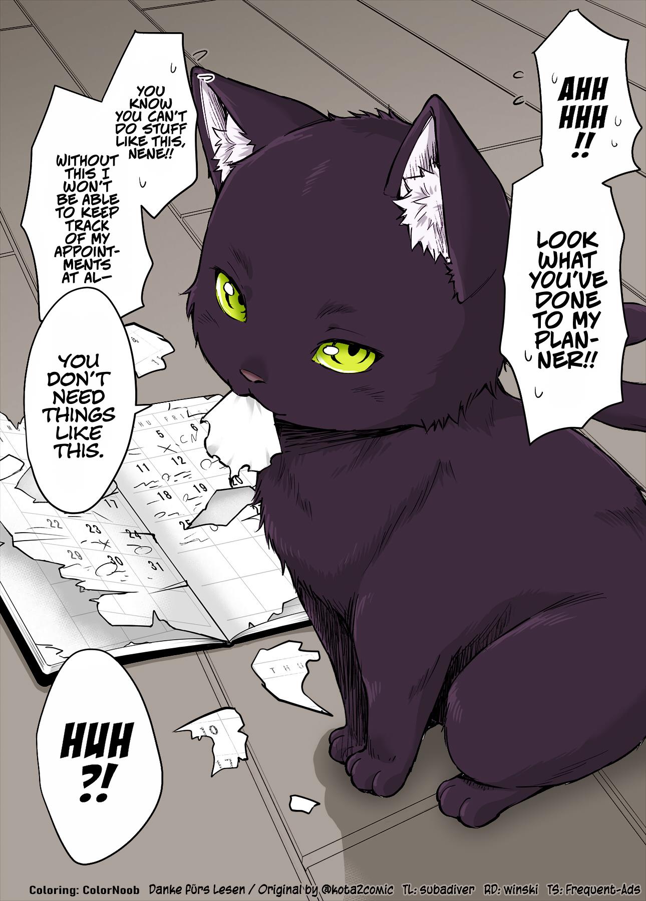 The Yandere Pet Cat Is Overly Domineering (Fan Colored) Chapter 16 #1
