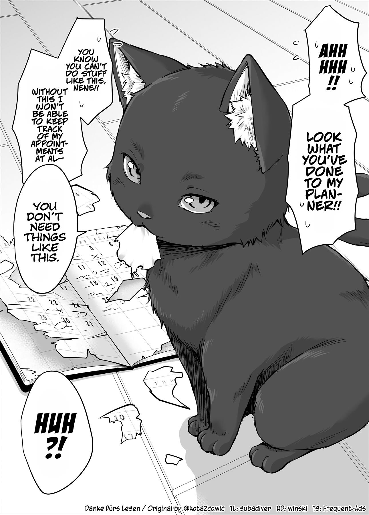The Yandere Pet Cat Is Overly Domineering Chapter 16 #1
