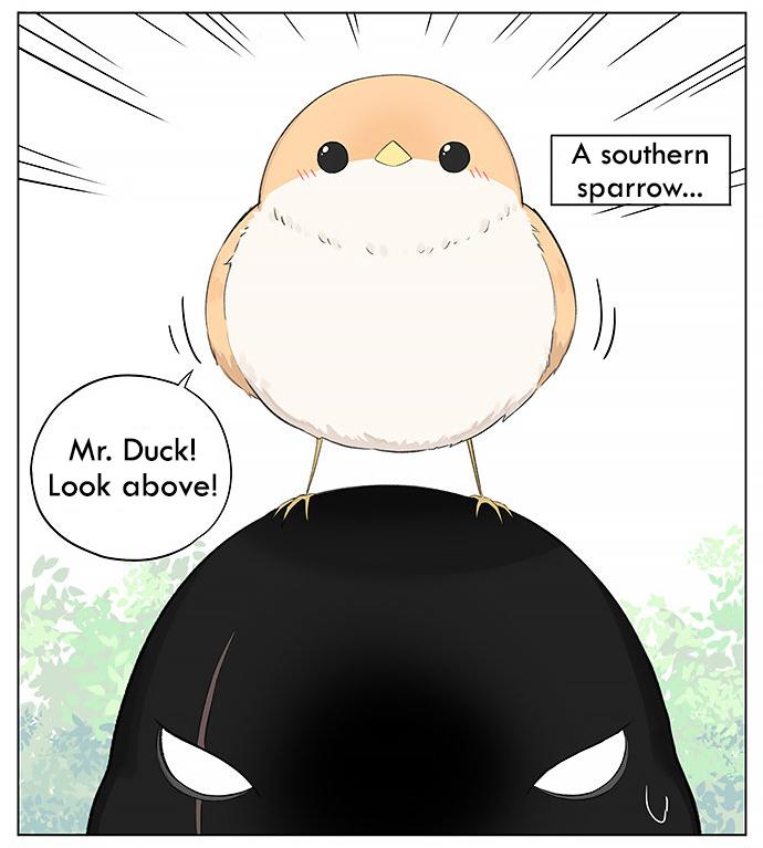 Southern Bird And Northern Bird Chapter 24 #2