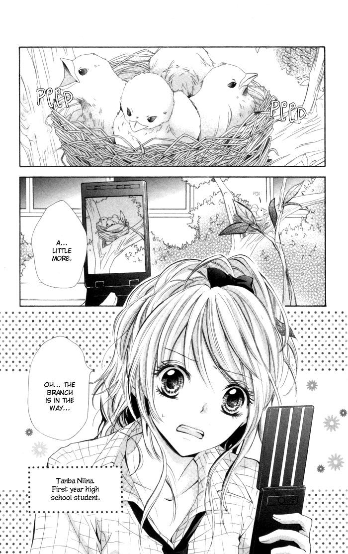 Air Koi Chapter 1 #7