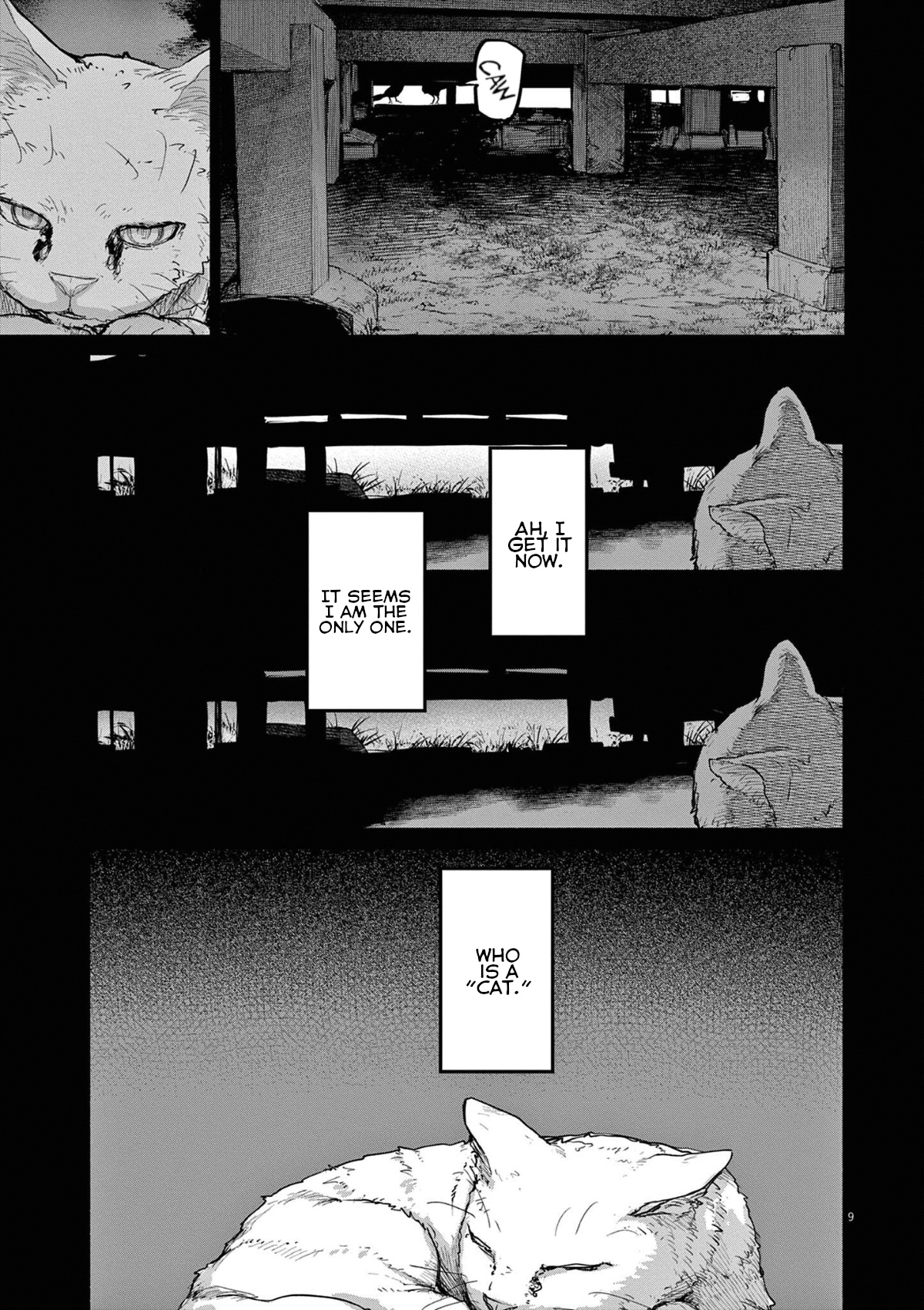 Mysteries, Maidens, And Mysterious Disappearances Chapter 49 #9