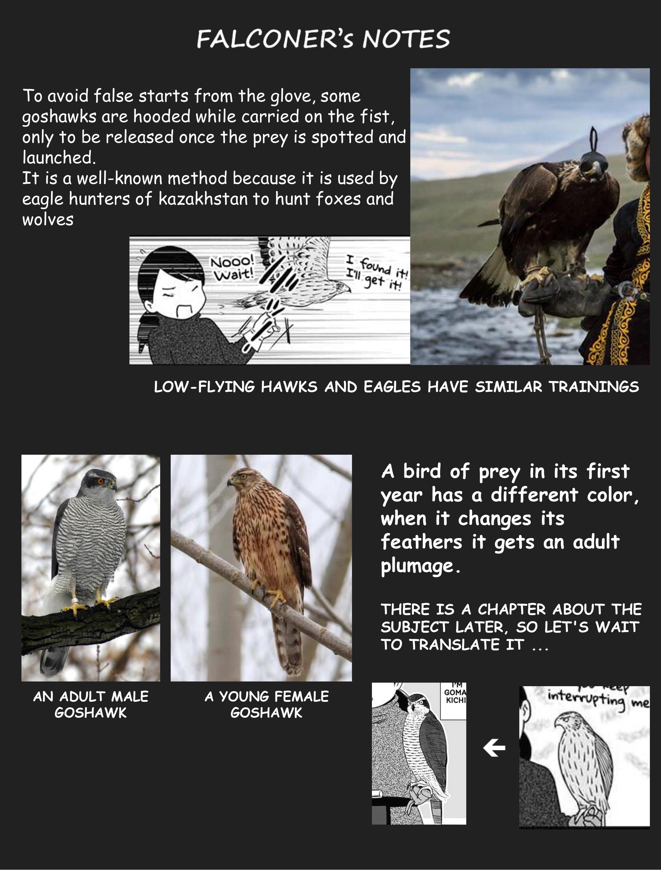 Hawk Master, It's Hunting Time! Chapter 8 #12