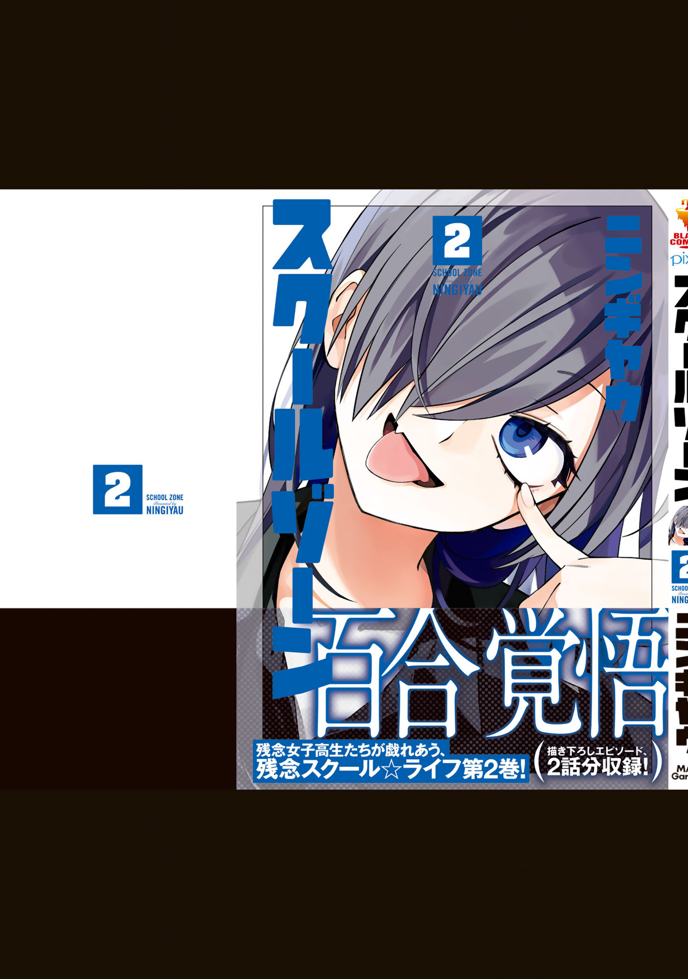 School Zone Chapter 51.2 #10