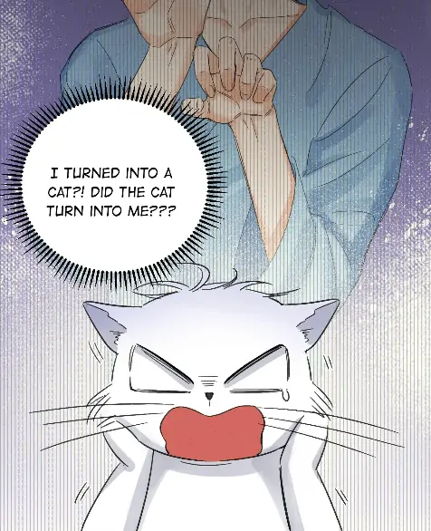 I Have To Work Hard As A Cat Today Chapter 2 #7