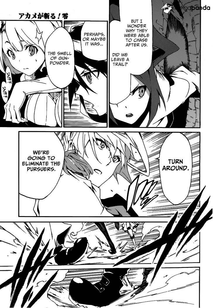 Akame Ga Kiru! Zero Chapter 6 #20