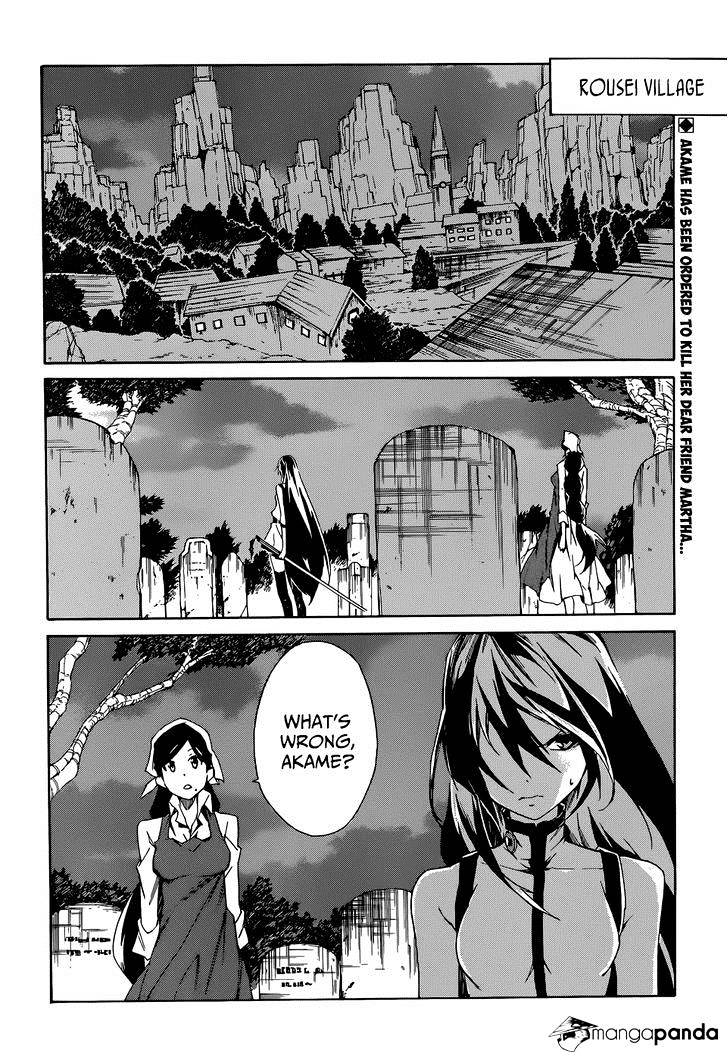 Akame Ga Kiru! Zero Chapter 4 #3