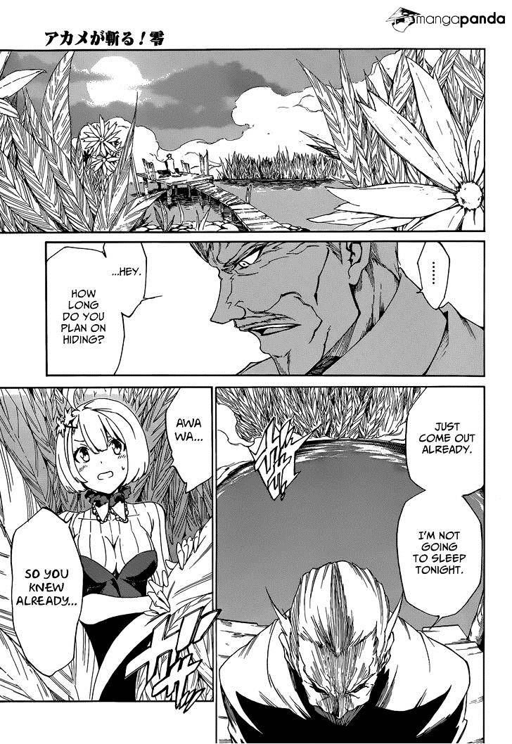 Akame Ga Kiru! Zero Chapter 4 #10