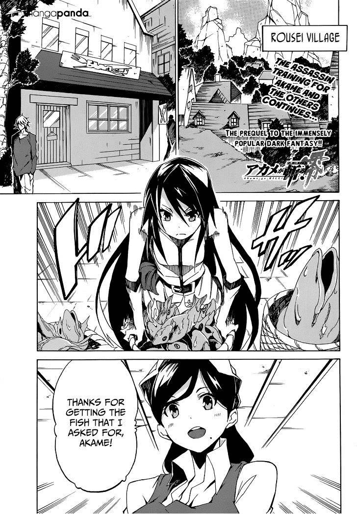 Akame Ga Kiru! Zero Chapter 3.2 #2