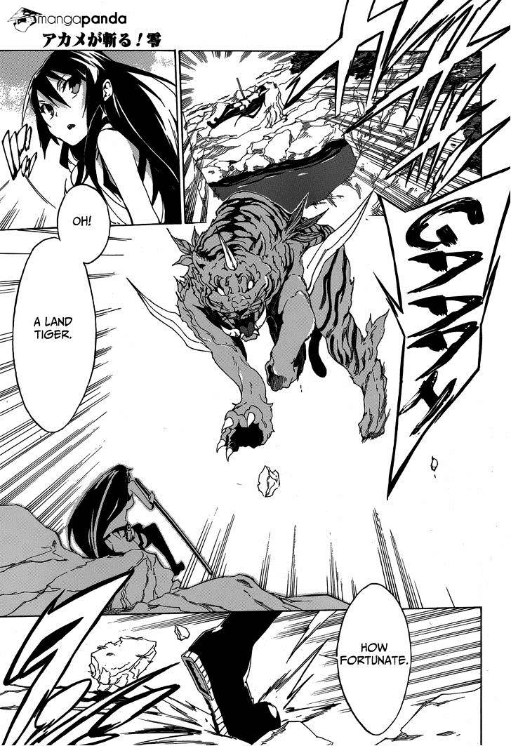 Akame Ga Kiru! Zero Chapter 2 #16
