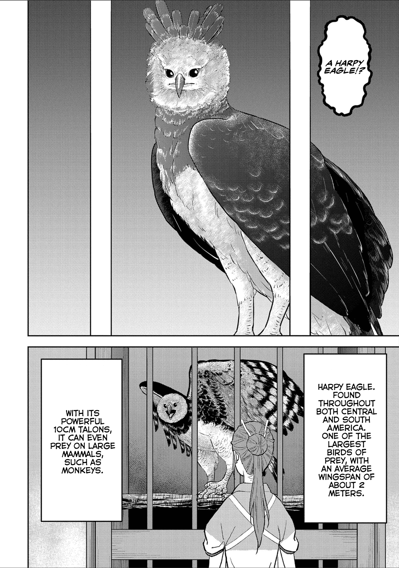 Sengoku Komachi Kuroutan: Noukou Giga Chapter 38 #23