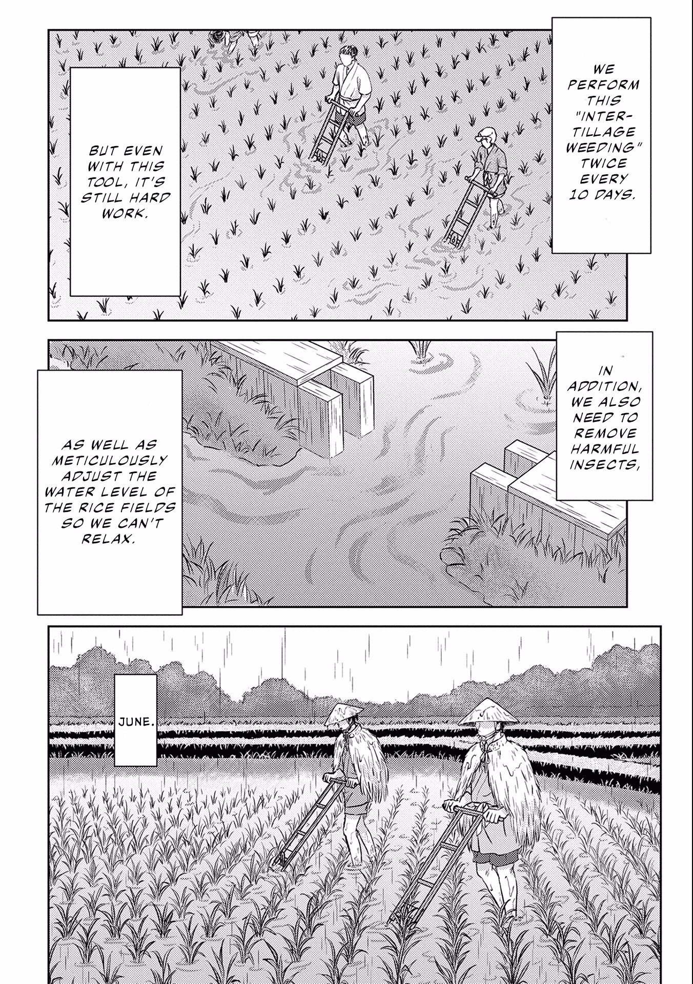 Sengoku Komachi Kuroutan: Noukou Giga Chapter 6 #33