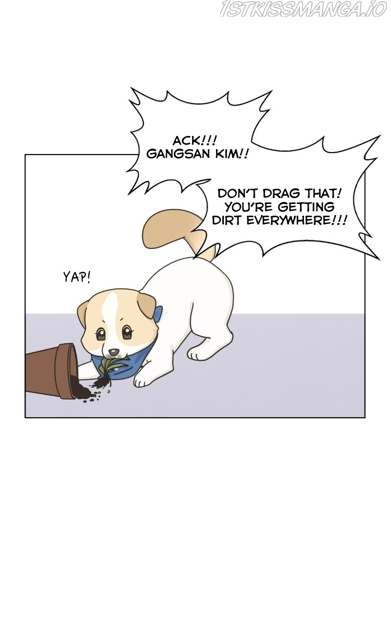The Dog Diaries Chapter 79 #15