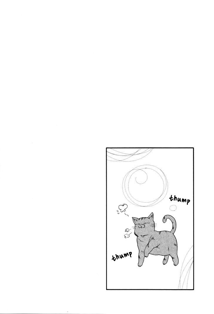 Boku To Neko To Hatsukoi Kousa Chapter 4 #33