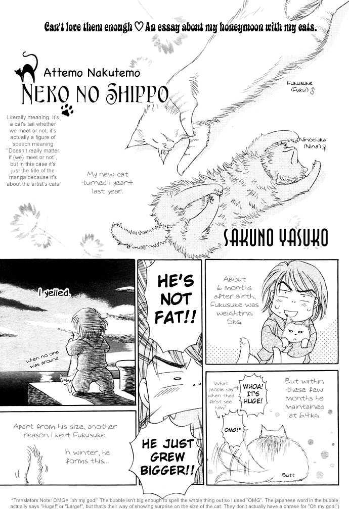 Attemo Nakutemo Neko No Shippo Chapter 0 #3