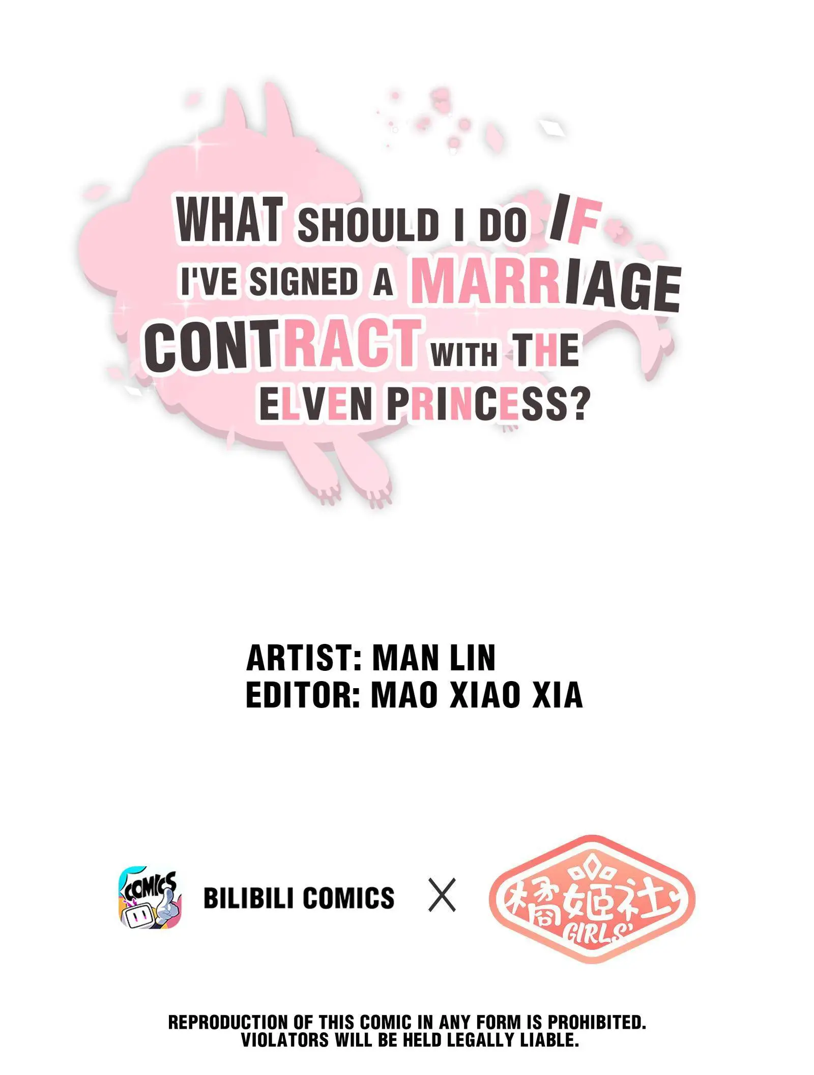 What Do I Do If I Signed A Marriage Contract With The Elf Princess? Chapter 11 #1
